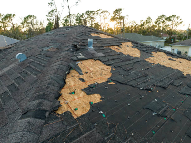 Best Roof Ventilation Installation  in USA